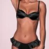 Fleur Du Mal Luxe Flutter Panty -Luxury Bra Store FDM 090424 63509full 3135a245 c64a 49c9 a443 a21edd7828dc