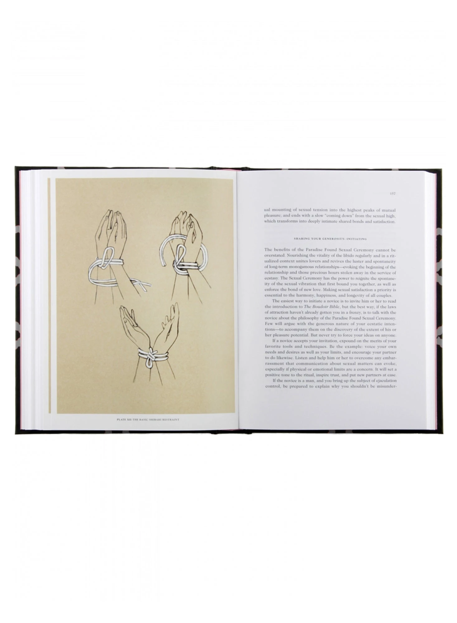 Rizzoli The Boudoir Bible 4 Rizzoli The Boudoir Bible - Image 2